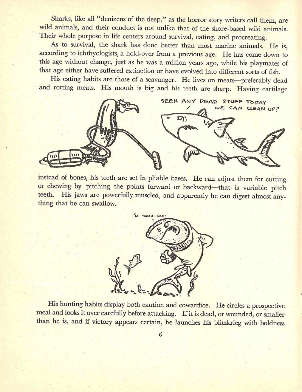 Shark Sense 1944 Page 6