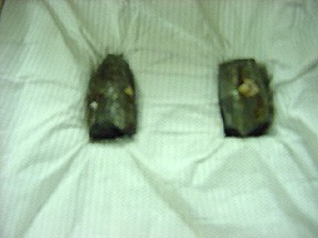 Fragments of the North Vietnamese machine gun bullet recovered from USS Maddox following the 2 August 1964 attack in the Gulf of Tonkin.