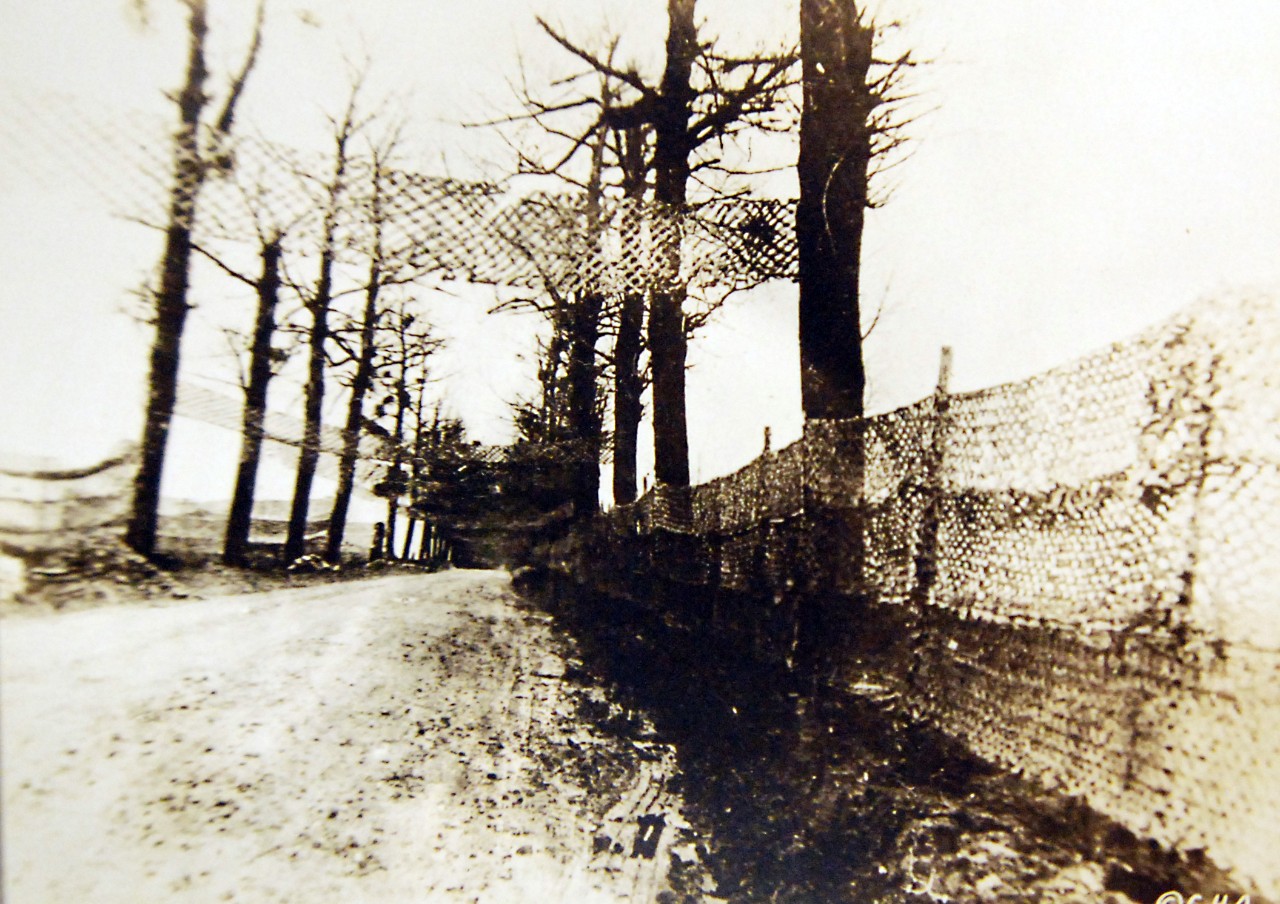 <p>LC-Lot-8872-3: WWI: Allied Forces: Places: France. Camouflage road near Chateau Thierry. C.H. Abbot Collection. Courtesy of the Library of Congress. (2017/02/10).</p>

