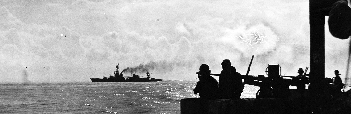 <p>NMUSN_WWII_NAC_Allied Ships_80-G-30628</p>
