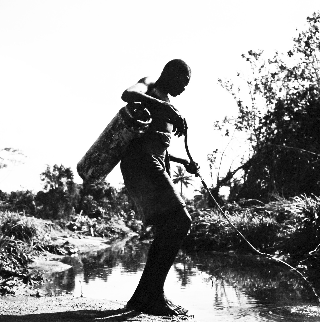 80-G-409049:  Bougainville Campaign, November 1943-August 1945.  Native working for the Malaria Control Unit on Bougainville sprays a ditch with a mixture that kills larvae of pestilent mosquitos.   Steichen Photograph crew, TR-9517, February 1944.   Official U.S Navy   Photograph, now in the collections of the National Archives.  (2017/12/13).