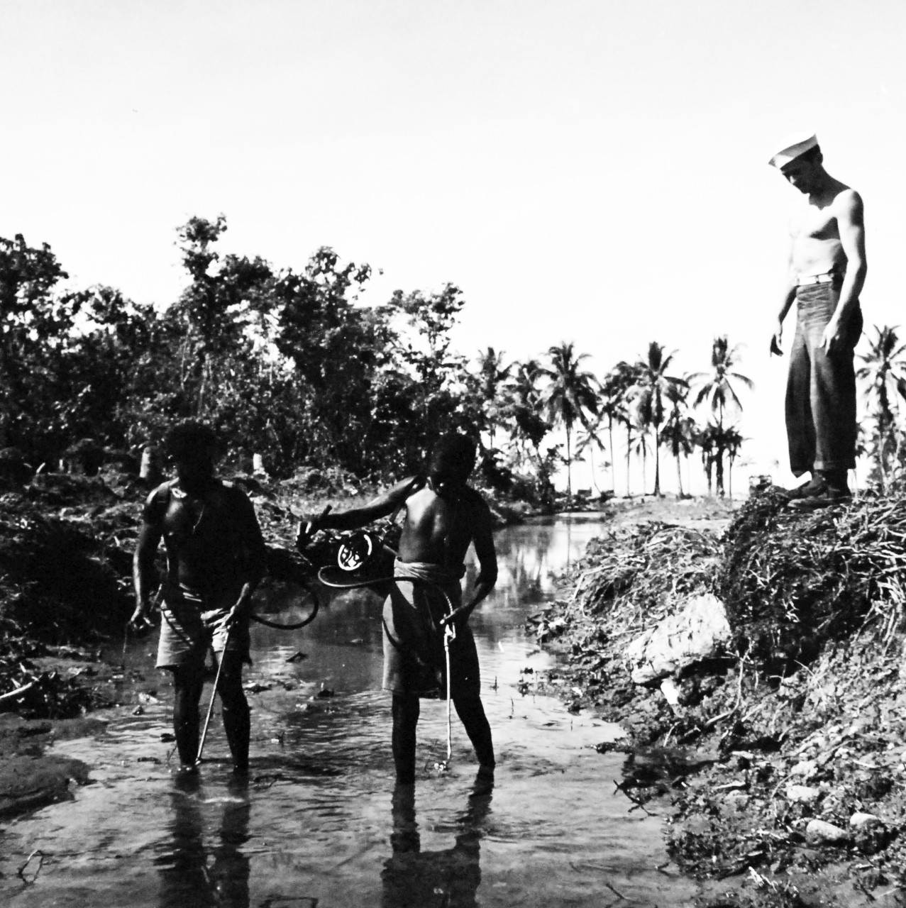80-G-409051:  Bougainville Campaign, November 1943-August 1945.  Native working for the Malaria Control Unit on Bougainville sprays a ditch with a mixture that kills larvae of pestilent mosquitos. Their pay is the food provided them by the service mess.   Steichen Photograph crew, TR-9517, February 1944.   Official U.S Navy   Photograph, now in the collections of the National Archives.  (2017/12/13).