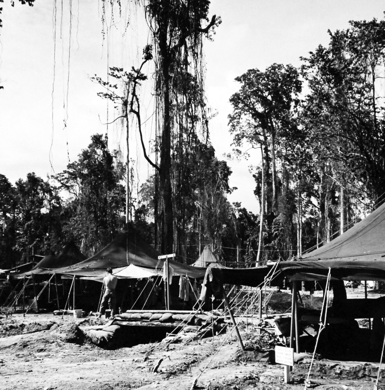 80-G-409062:  Bougainville Campaign, November 1943-August 1945.   Air raid shelters are conveniently close to Army tents in this jungle clearing o the perimeter of American positions around Empress Augusta Bay, Bougainville.  So close was this camp to the enemy that Japanese were frequently within sight and sound.  Steichen Photograph crew, TR-9546, February 1944.   Official U.S Navy   Photograph, now in the collections of the National Archives.  (2017/12/13).