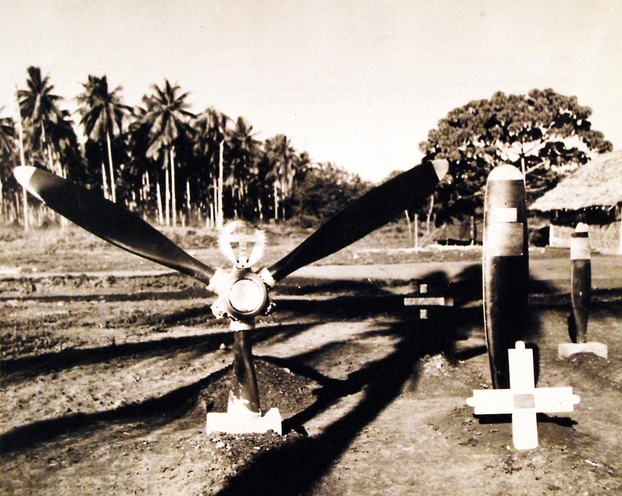 80-G-54613: Guadalcanal.  Propeller wings designate the last resting place of American aviators who died in defense of Guadalcanal Island, Solomon Islands.   Photograph released September 29, 1943.  U.S. Navy Photograph, now in the collections of the National Archives.  (2016/11/25).