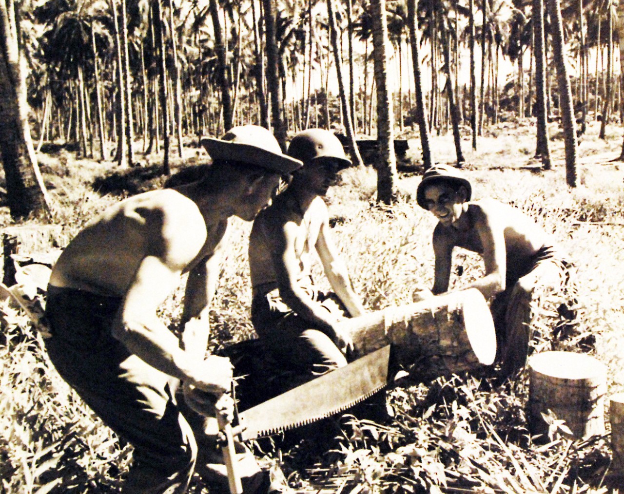 80-G-39218: Guadalcanal Campaign, August 1942-February 1943.  Soldiers sawing palm trees into blocks to be used for foundation of Quonset Huts, Guadalcanal, January 30, 1943.    Official U.S. Navy photograph, now in the collections of the National Archives.  (2016/12/06).