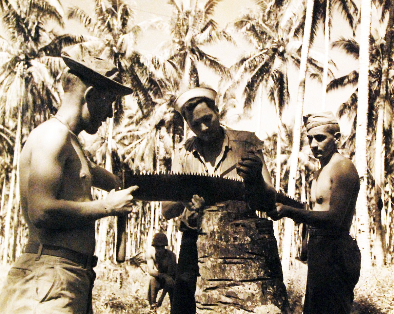 80-G-39219: Guadalcanal Campaign, August 1942-February 1943.  Navy Seabees doing construction work at Guadalcanal, January 30, 1943.  Note the soldiers holding a saw while a Seabee files it. Official U.S. Navy photograph, now in the collections of the National Archives.  (2016/12/06).
