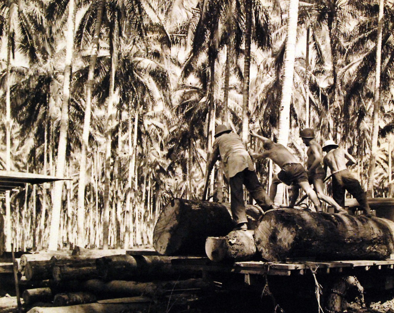 80-G-39220: Guadalcanal Campaign, August 1942-February 1943.  Navy Seabees doing construction work at Guadalcanal, working in the sawmill, January 30, 1943.   Official U.S. Navy photograph, now in the collections of the National Archives.  (2016/12/06).