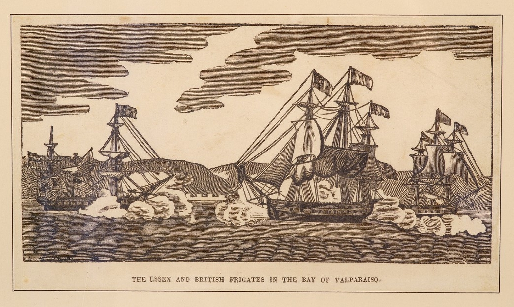 1800's ship captain's quarters  Captains quarters, Pirate decor, Pirate  props