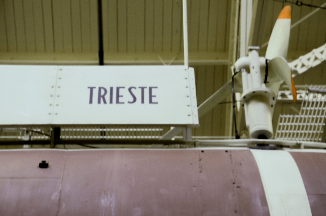 Conservation Treatment Report Trieste