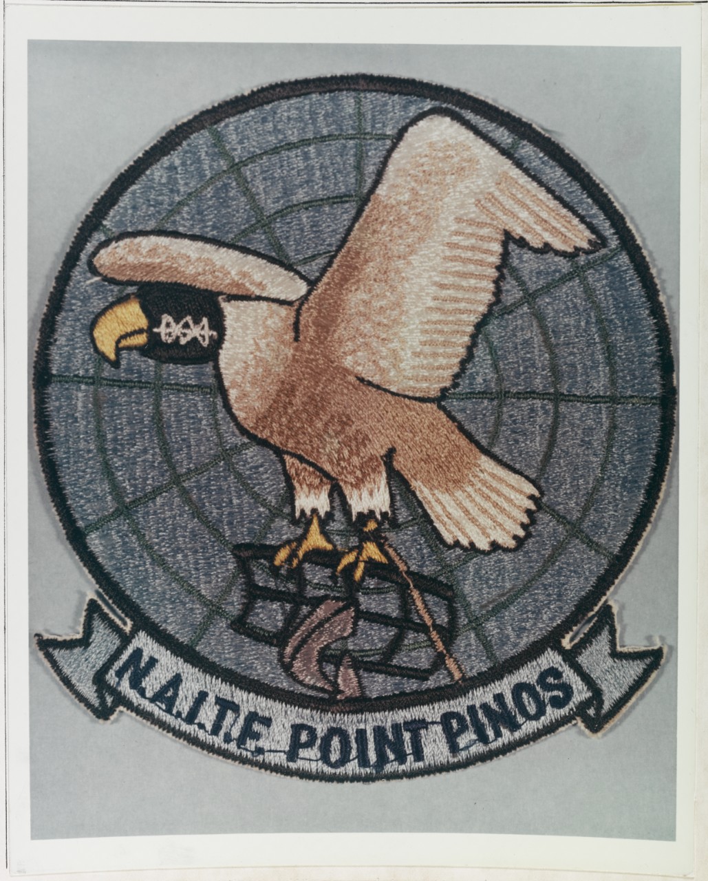 Insignia N.A.I.T.F. Point Pinos. Circa 1961