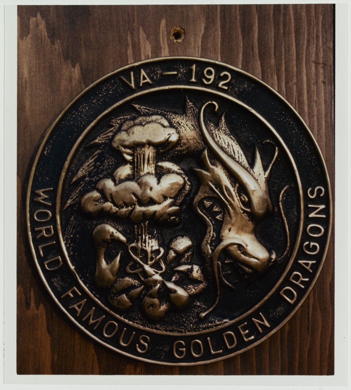 Insignia: Attack Squadron 192 (VA-192) World Famous Golden Dragons