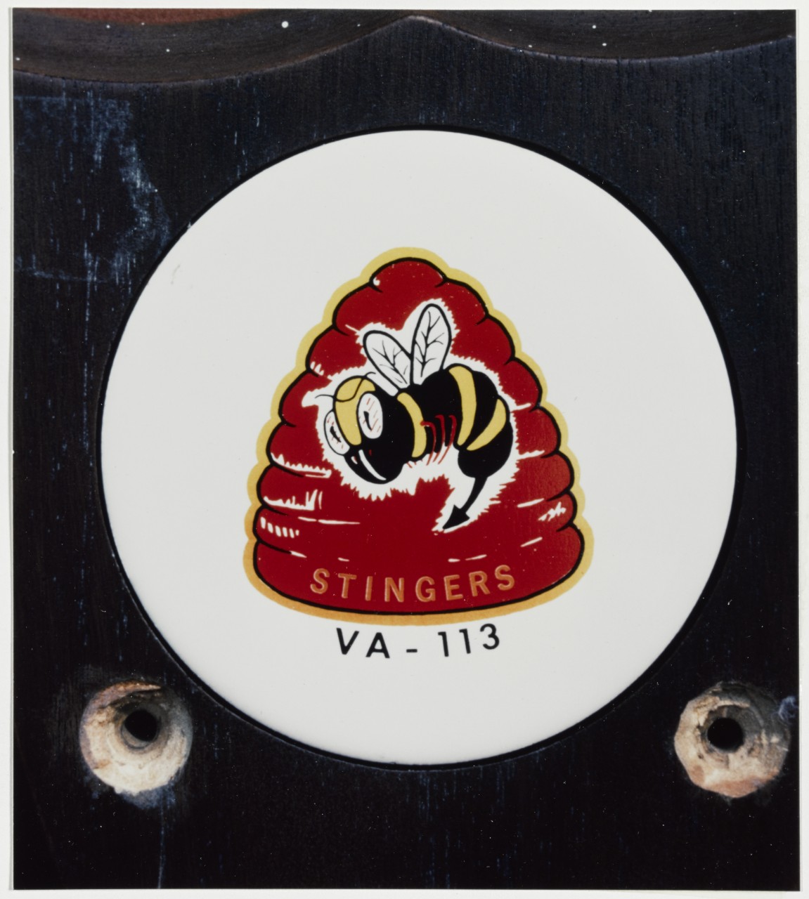 Insignia: Attack Squadron 113 (VA-113) "Stingers".