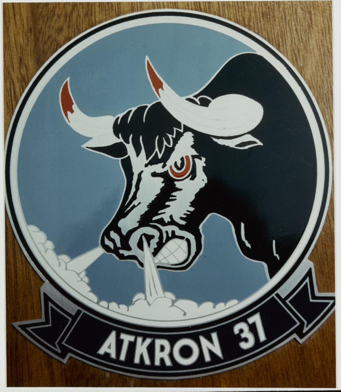 Insignia: Attack Squadron 37 (VA-37). Atkron 37