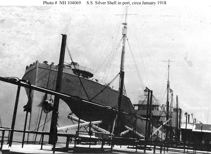 Photo #: NH 104069  S.S. Silver Shell