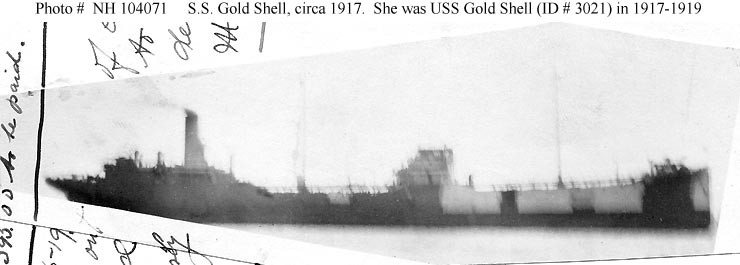 Photo #: NH 104071  S.S. Gold Shell