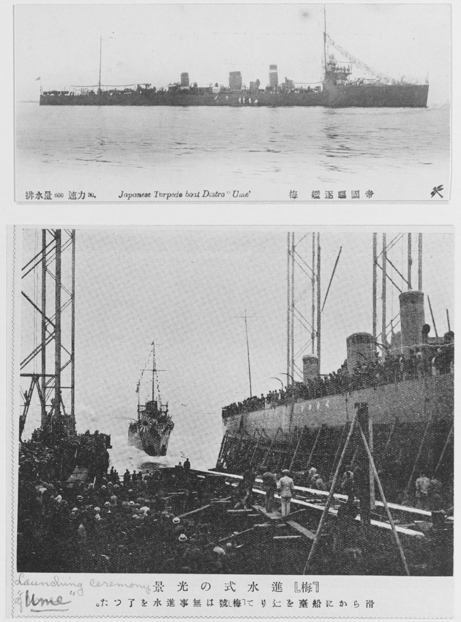 Japanese Torpedo Boat Destroyer UME
