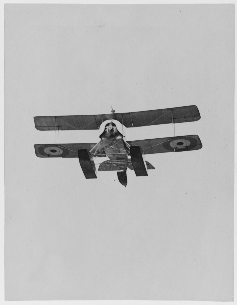 Fighting seaplane in flight