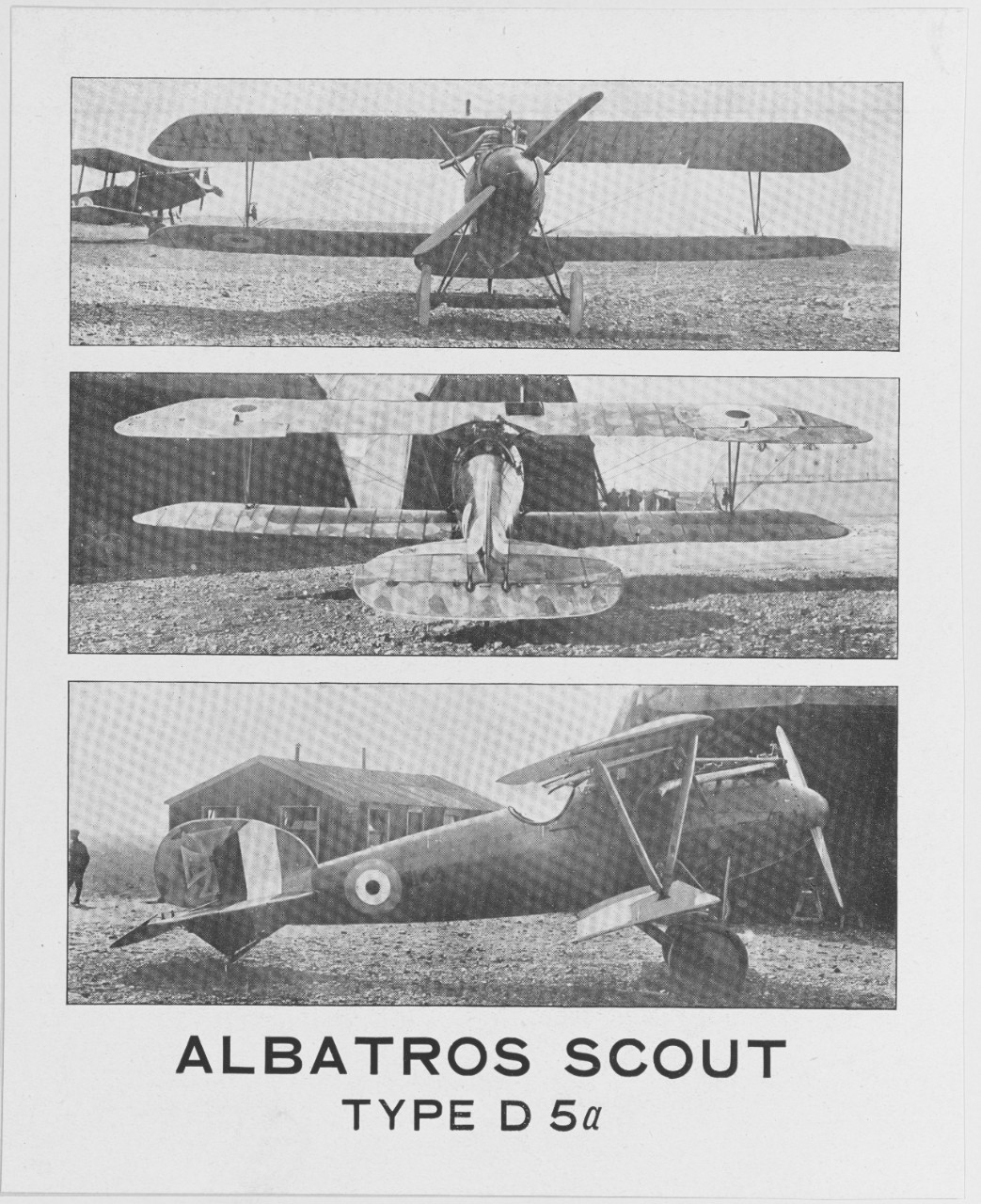 Albatross Scout Type D5a