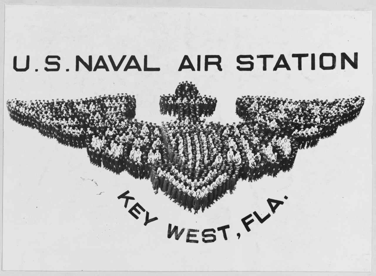 Naval Aviation Insignia