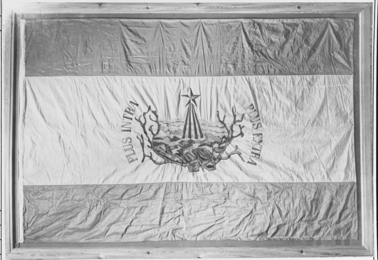 Flag Flown by the First ICTINEO Submarine