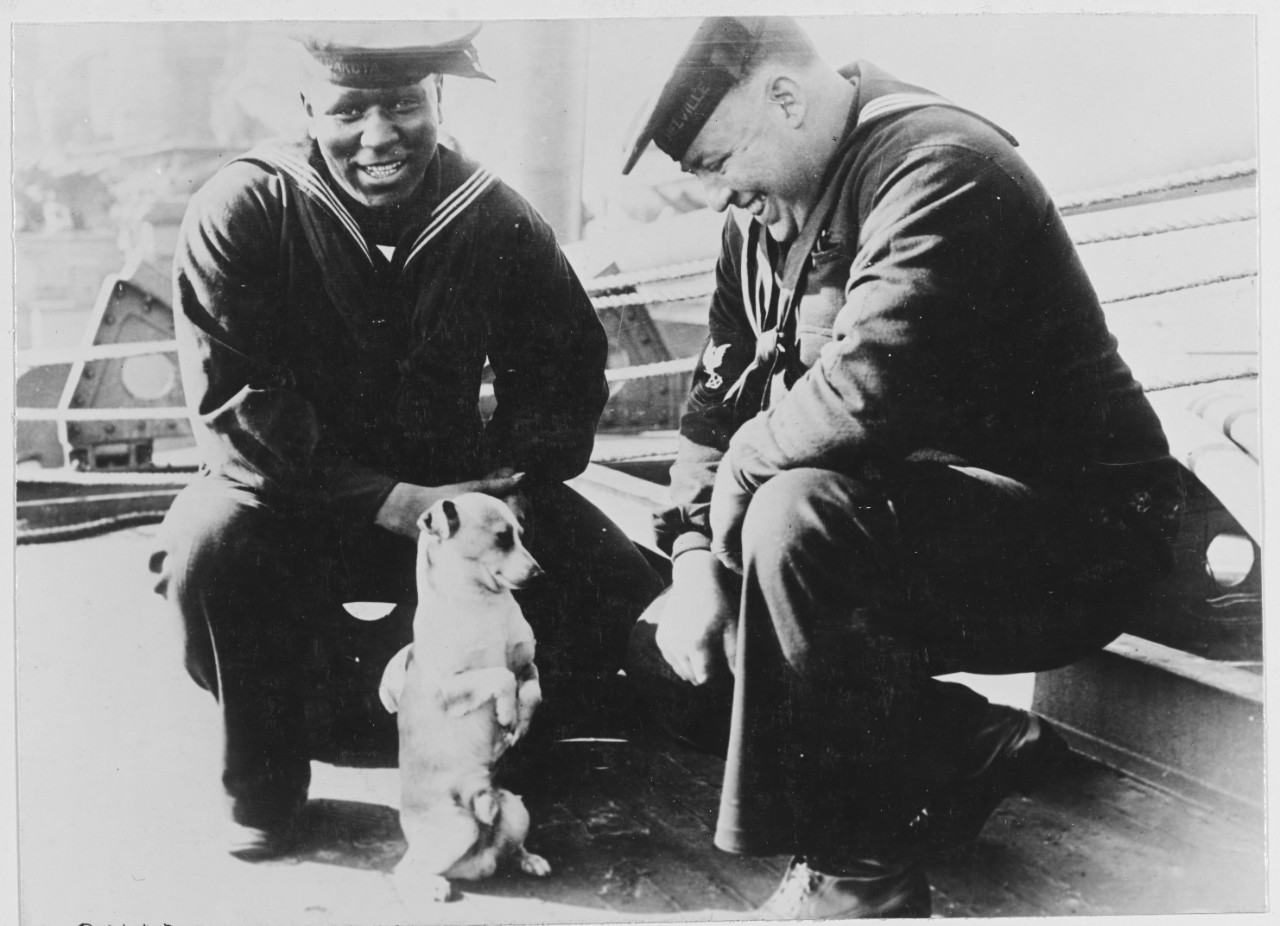 Fritz the ship's mascot with two of his friends on board a U.S. steamship