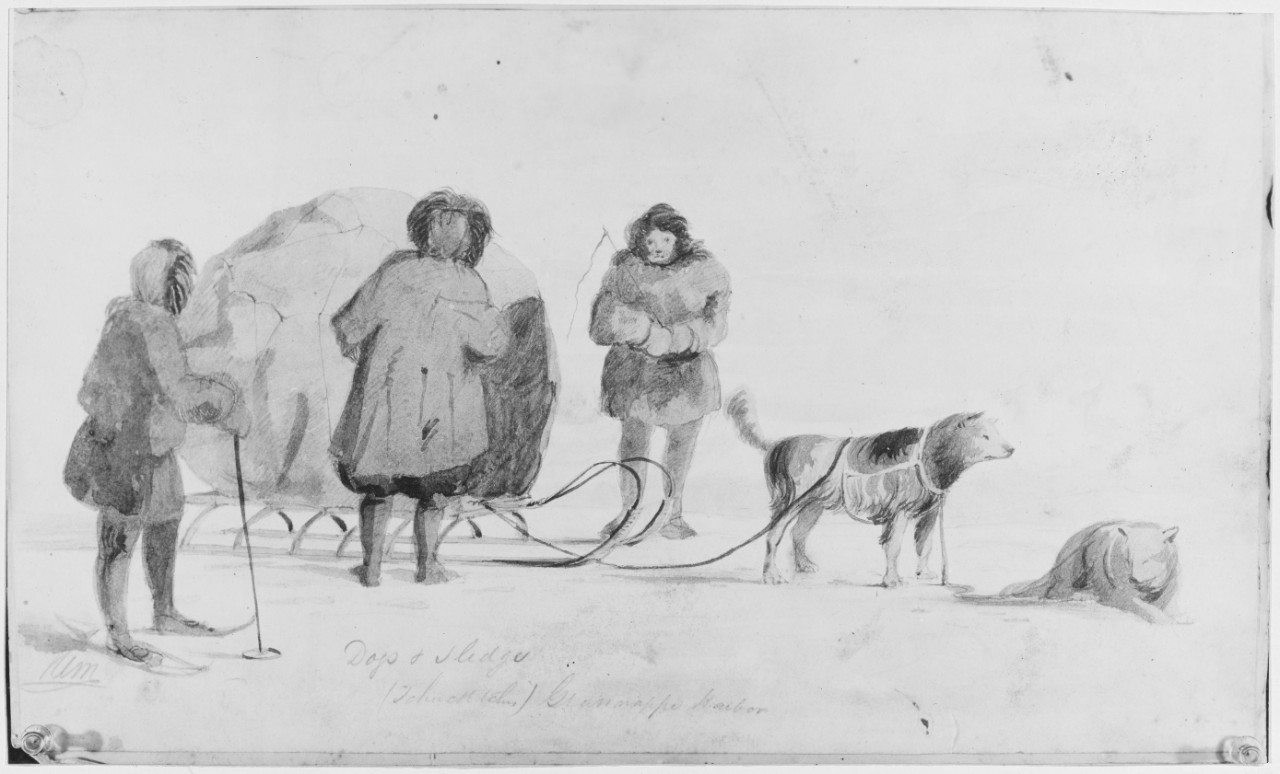 Dogs and sledge, Glannappe Harbor, Patagonian Natives (Tchucktehe).