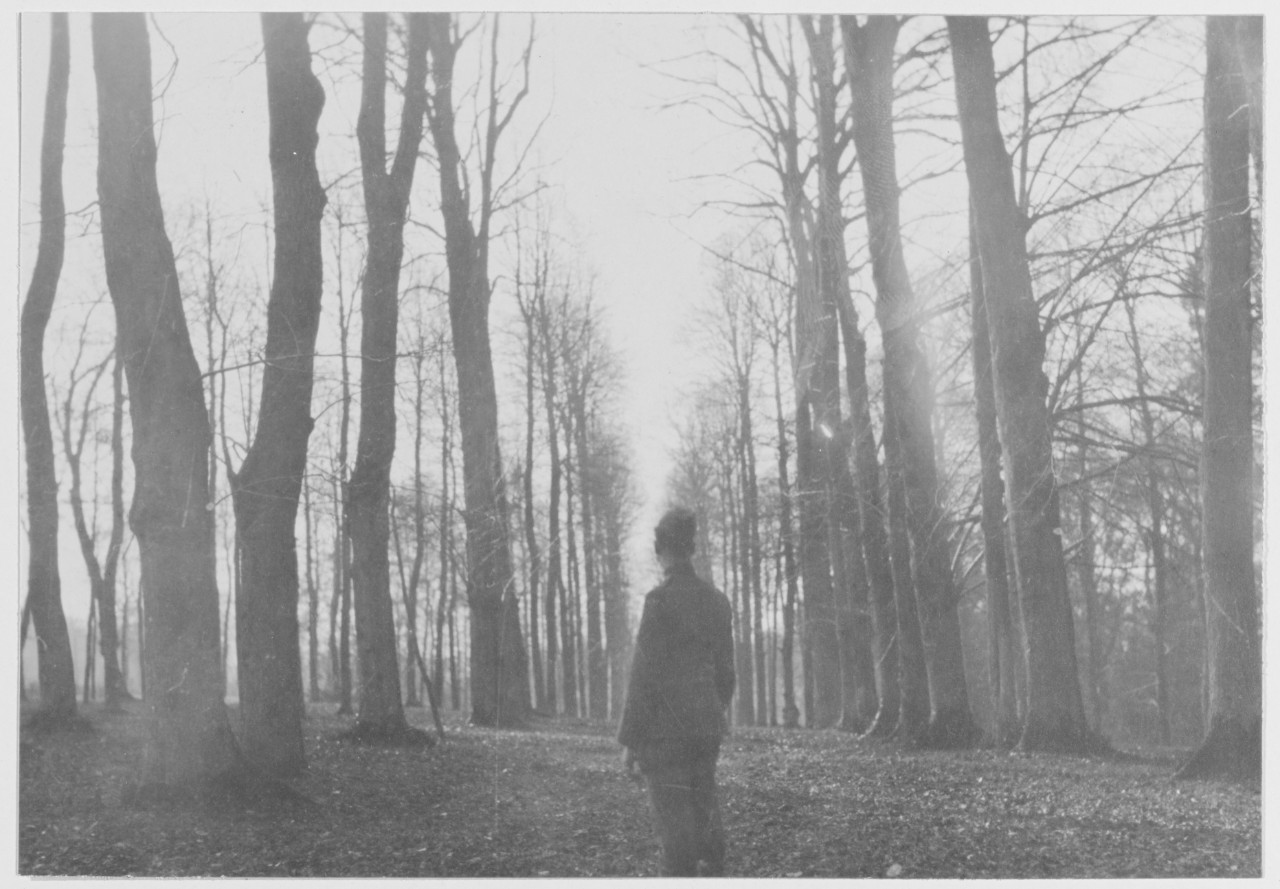 Marine stands in forest, scene near Marine Corps Aviation Camp in France during World War I.