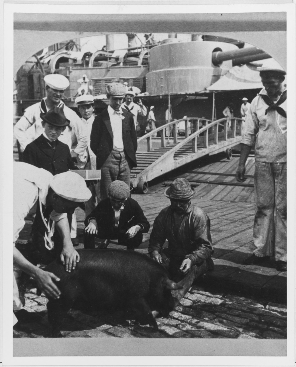 Survivor of the Battle of Santiago, July 3, 1898. Sailors pet a pig, taken from the Spanish SS VIZCAYA
