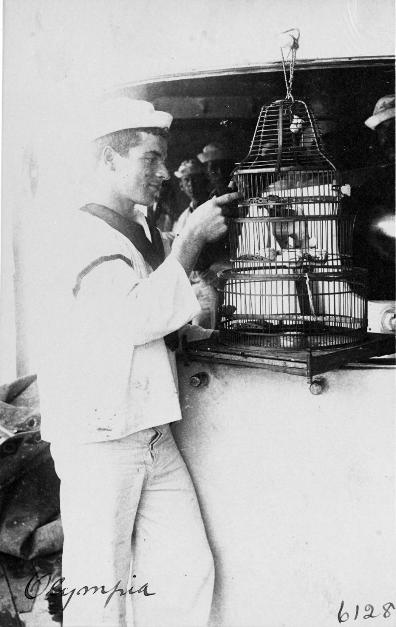USS OLYMPIA (C-6), sailor with a parrot