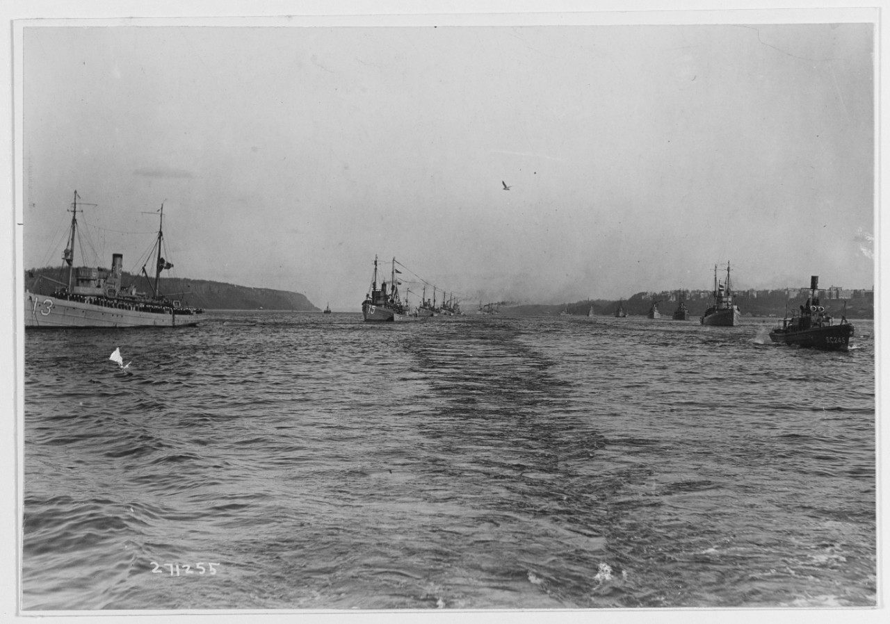Photo #: NH 44904  Review of the Atlantic Fleet Minesweeping Squadron, November 1919