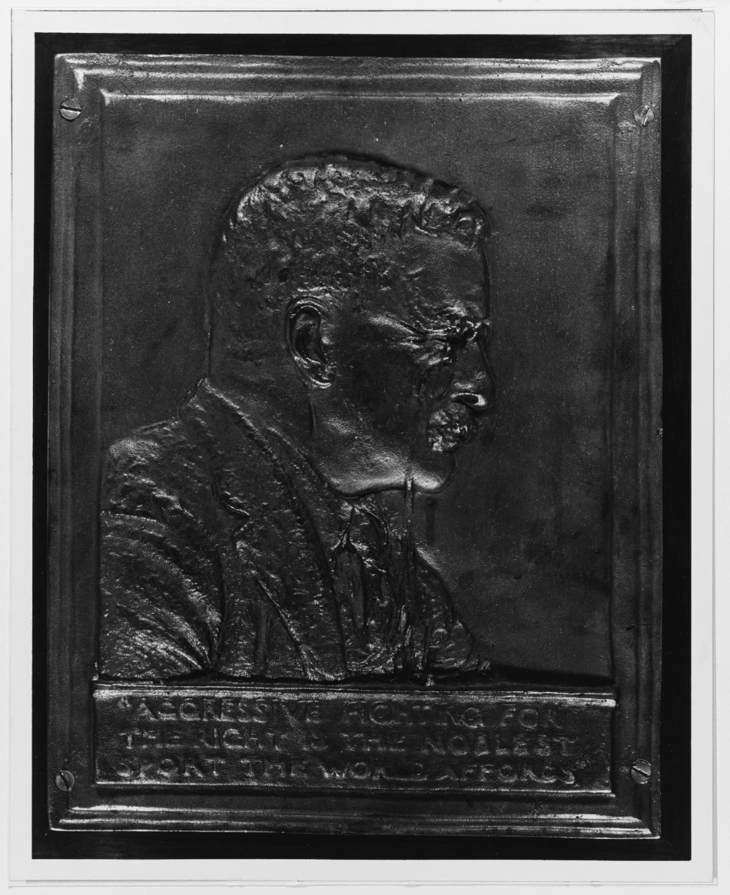 Theodore Roosevelt Plaque