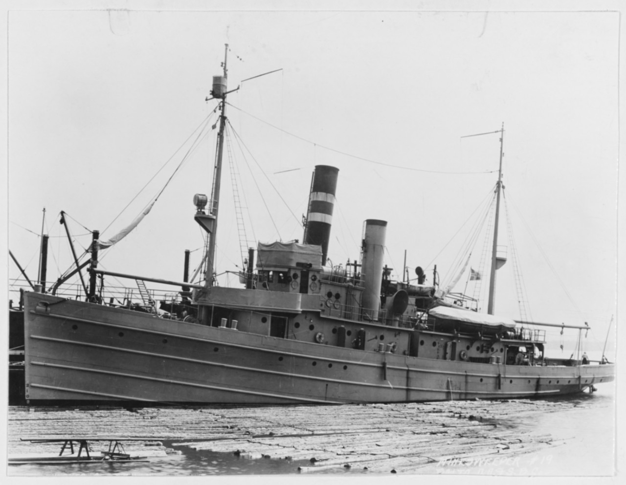 USS AVOCET (AM-19)