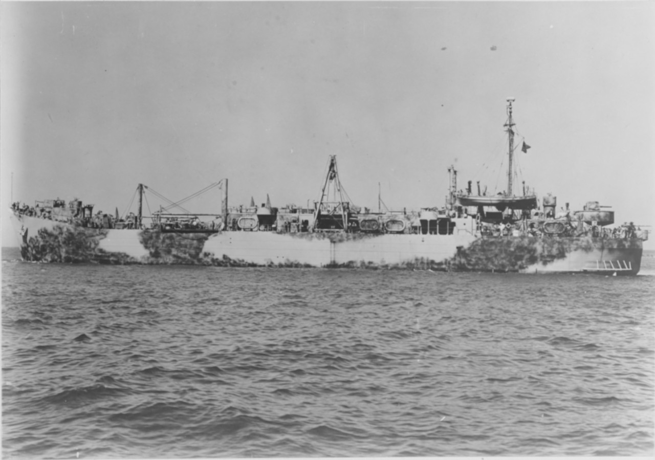 USS AMYCUS (ARL-2)