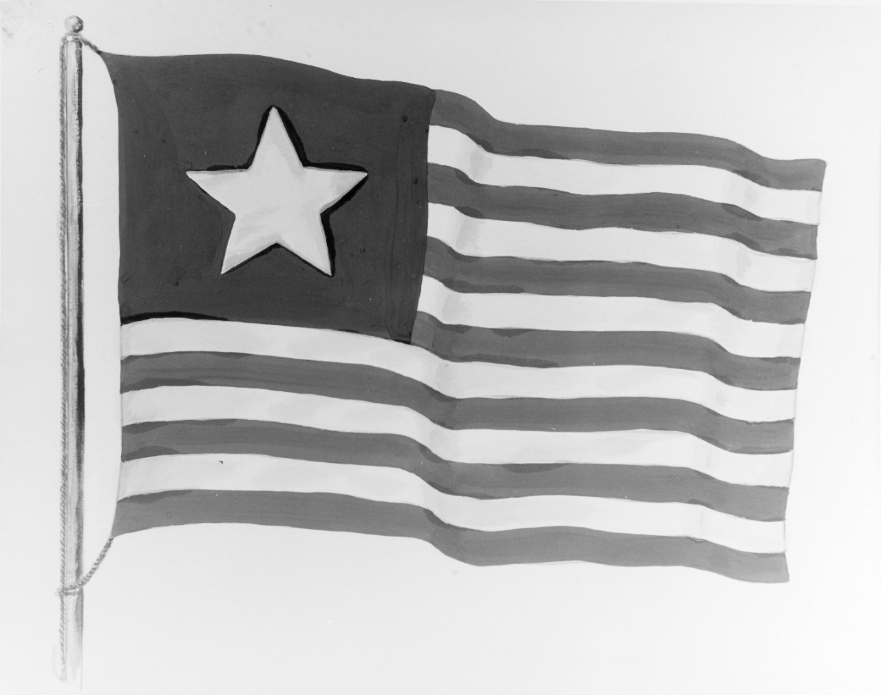 Flag of Texas Navy