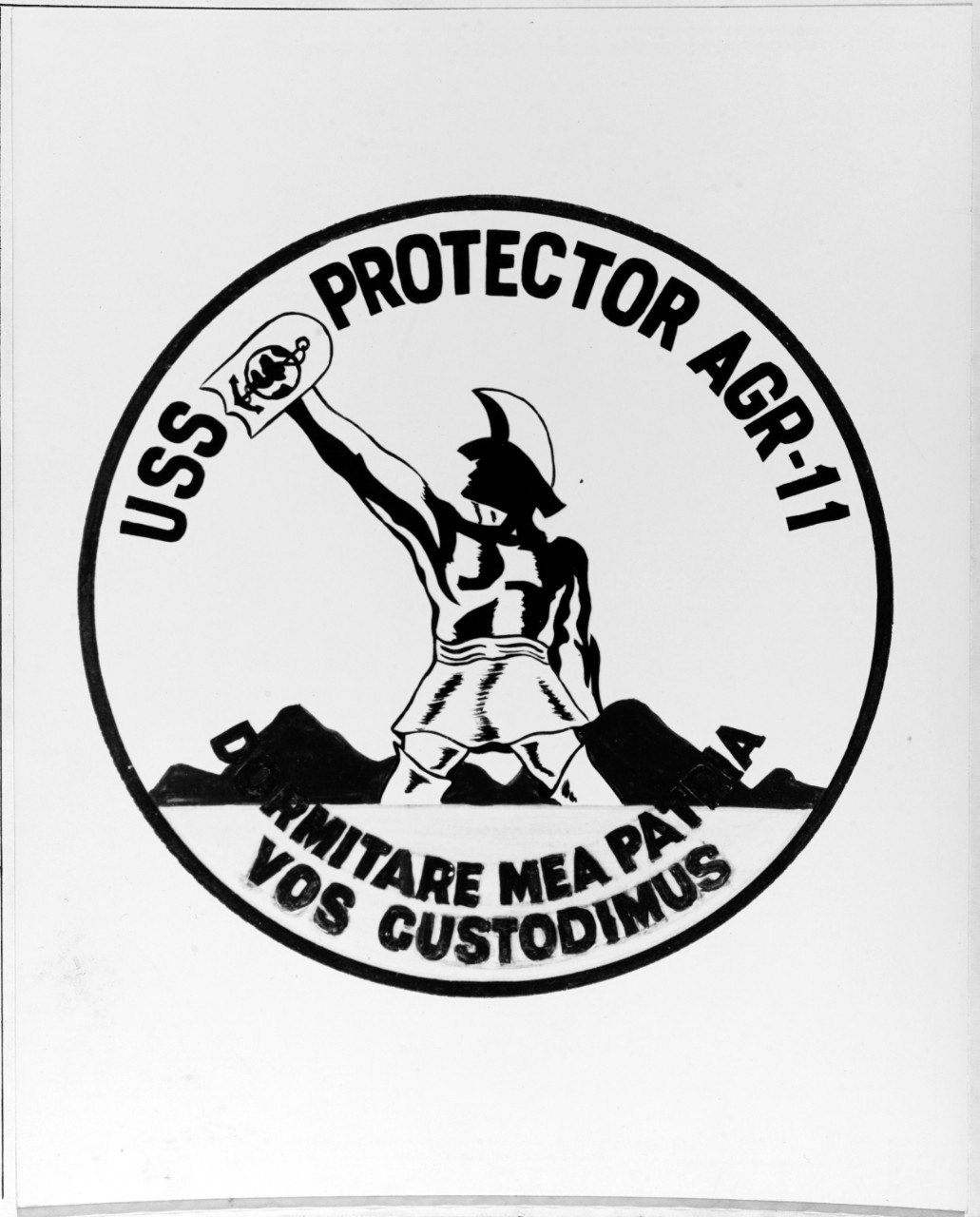 Photo #: NH 64705-KN Insignia of USS Protector