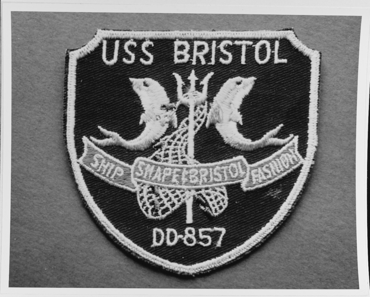 Insignia: USS BRISTOL (DD - 857)