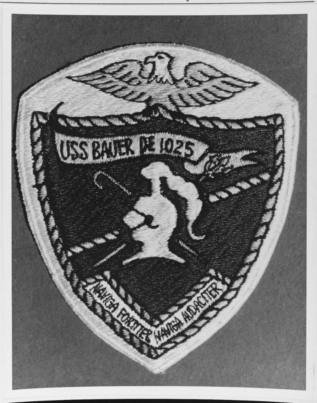 Insignia: USS BAYER (DE-1025)
