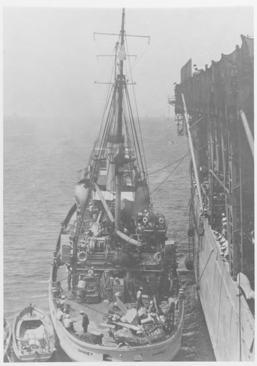 USS GANNET (AM-41)