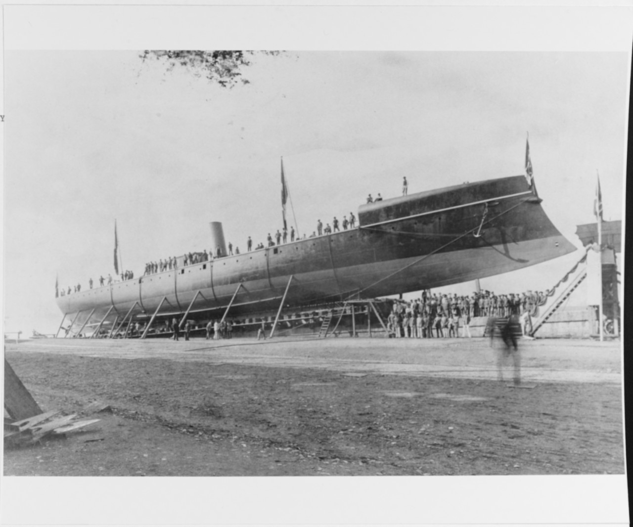 CONFIENZA (Italian Torpedo Gunboat, 1889-1901)