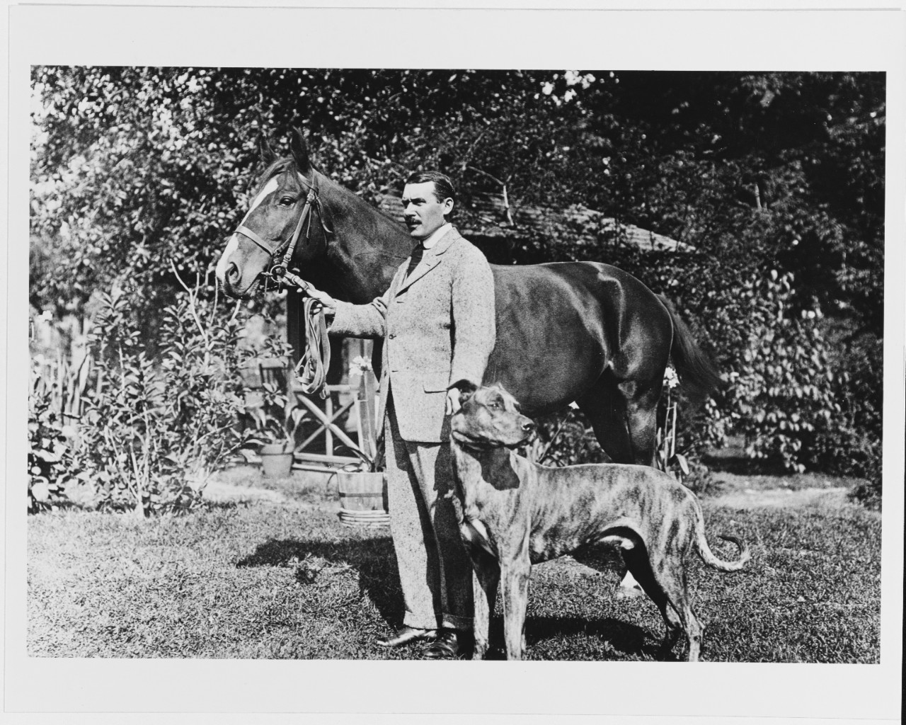 Captain William V. Pratt, USN, at home, with pet dog and a horse, circa 1920.