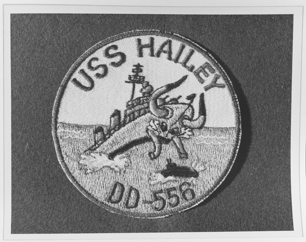 Insignia:  USS HAILEY (DD-556)