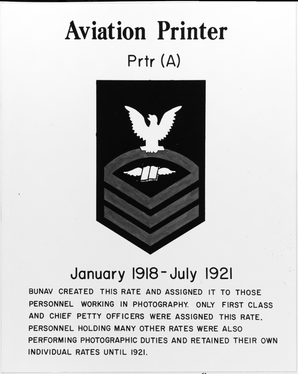 Rating Badge: Aviation Printer