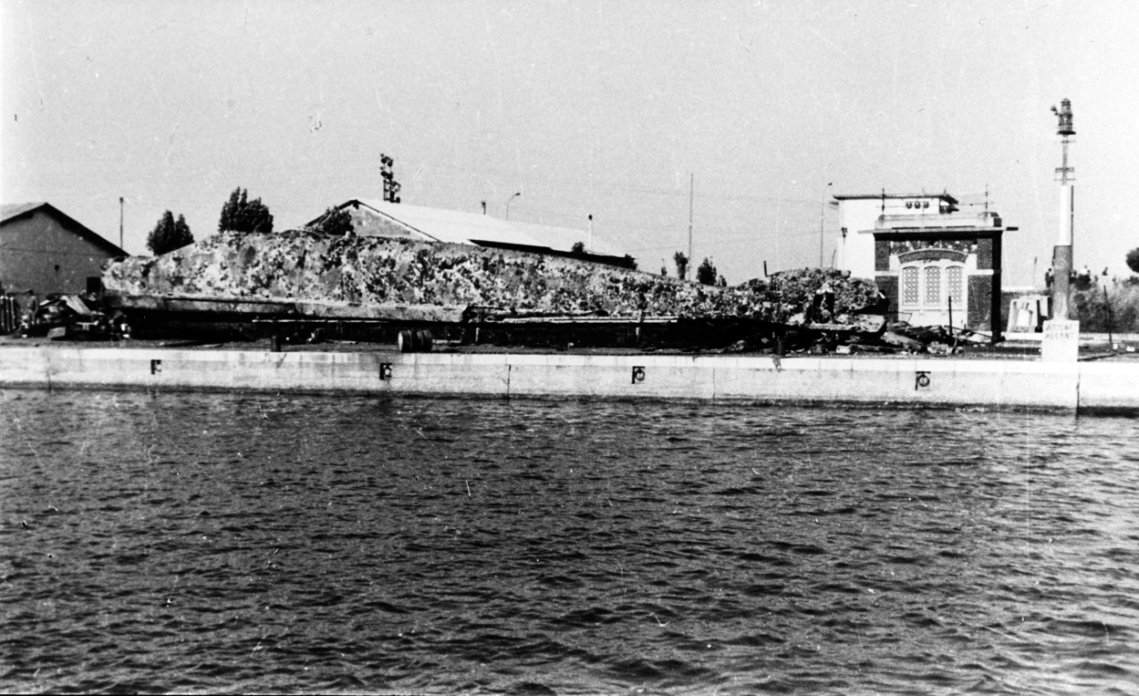 U 20 (Austrian Submarine, 1916-1918)