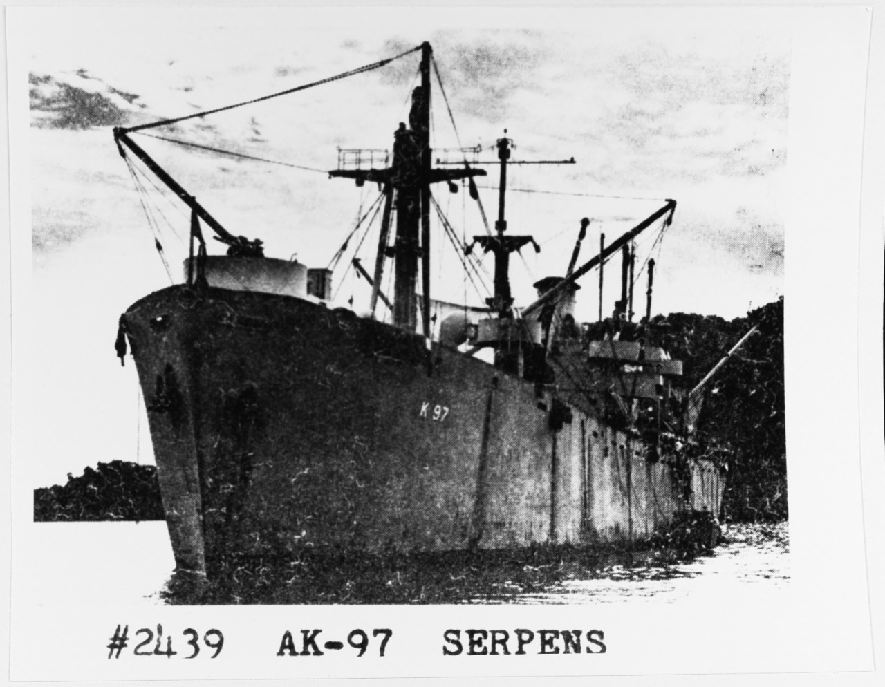 Photo #: NH 89186  USS Serpens (AK-97)