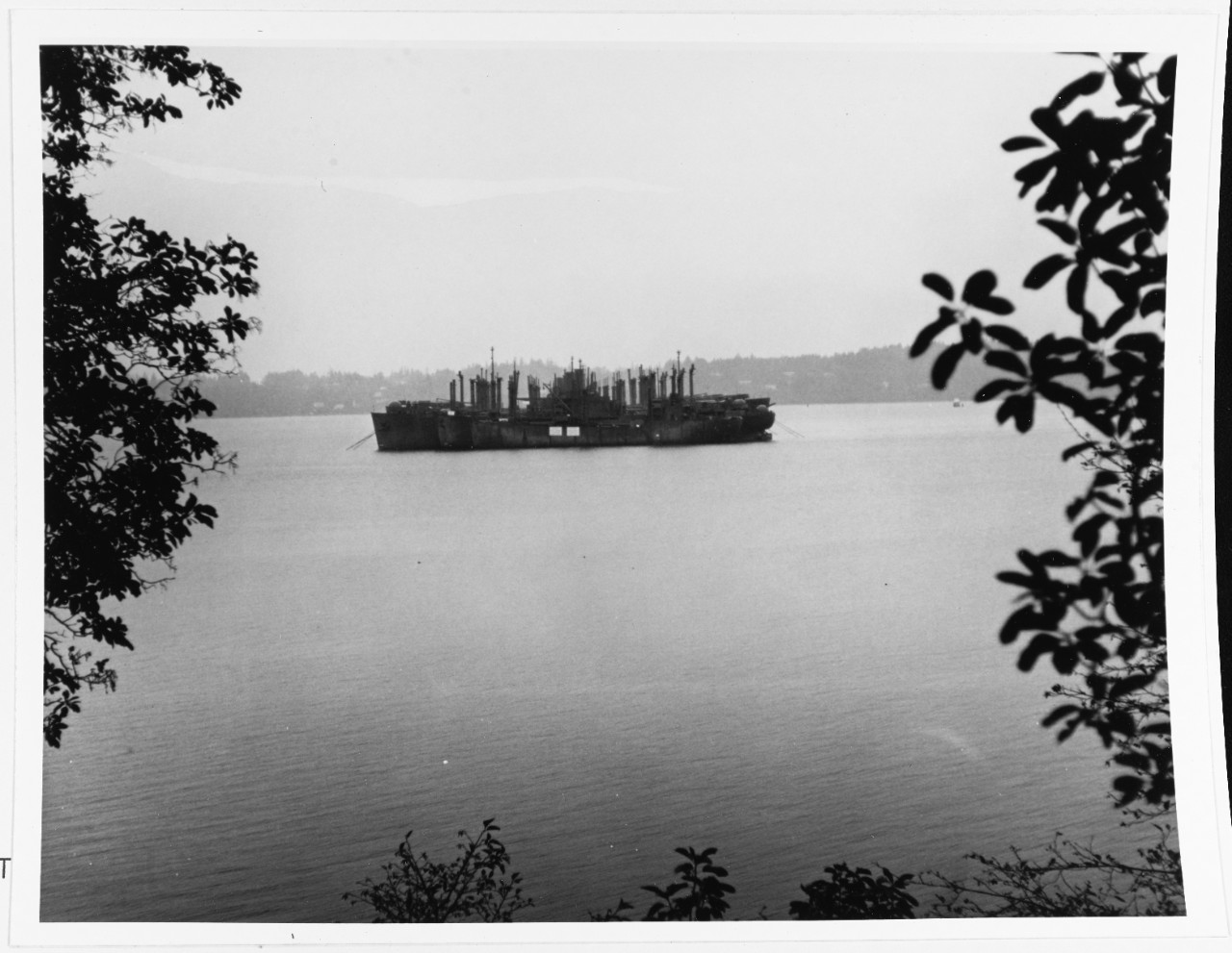 Marad Reserve Fleet Olympia, Washington