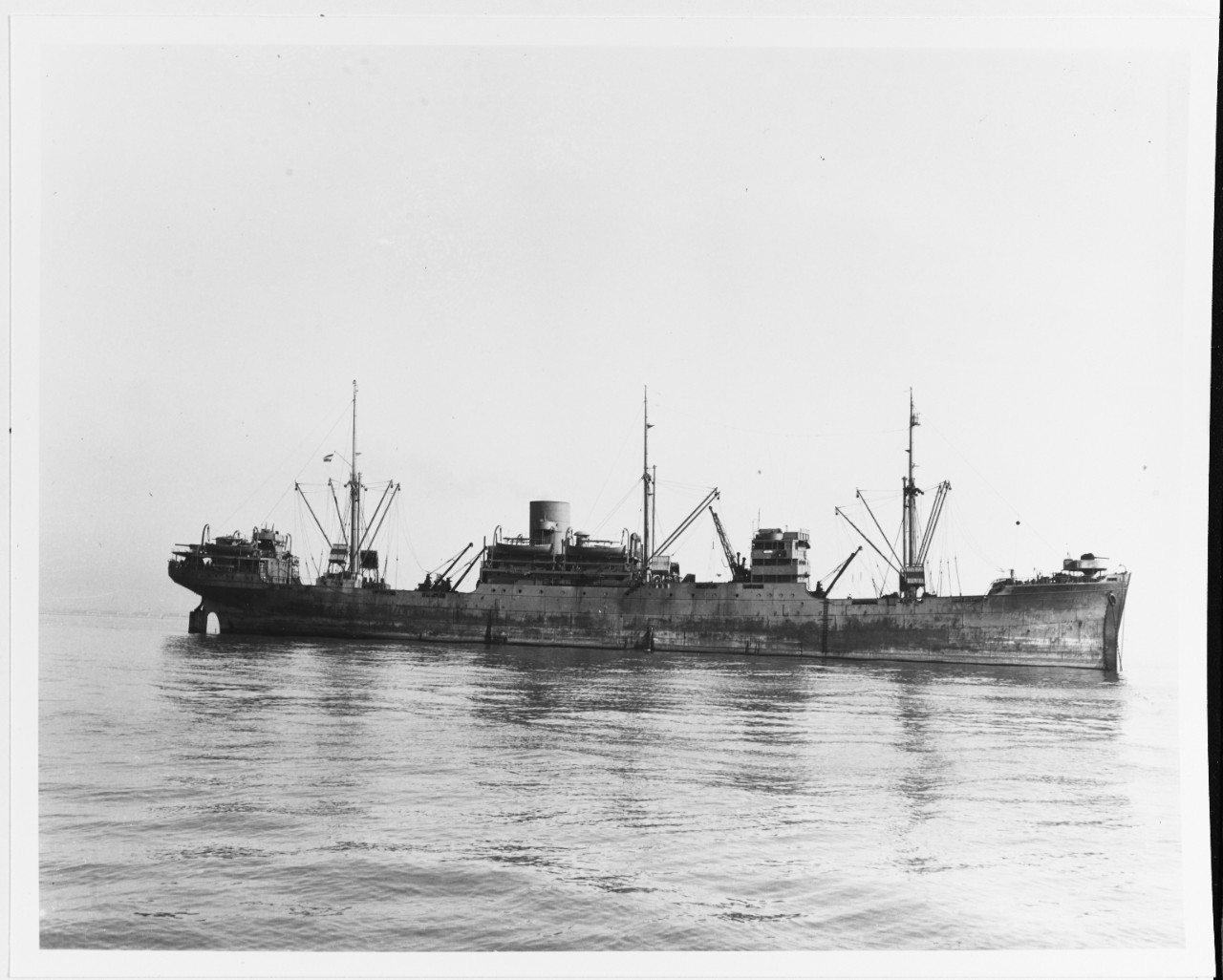 M.V. TAWALI (Dutch Merchant Cargo Ship, 1931-1960)