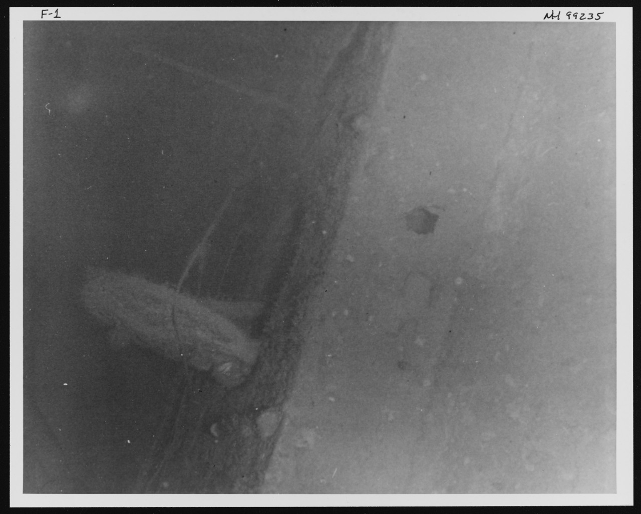 Photo #: NH 99235  Wreck of USS F-1