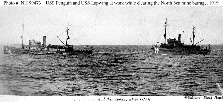 Photo #: NH 99473  USS Penguin USS Lapwing