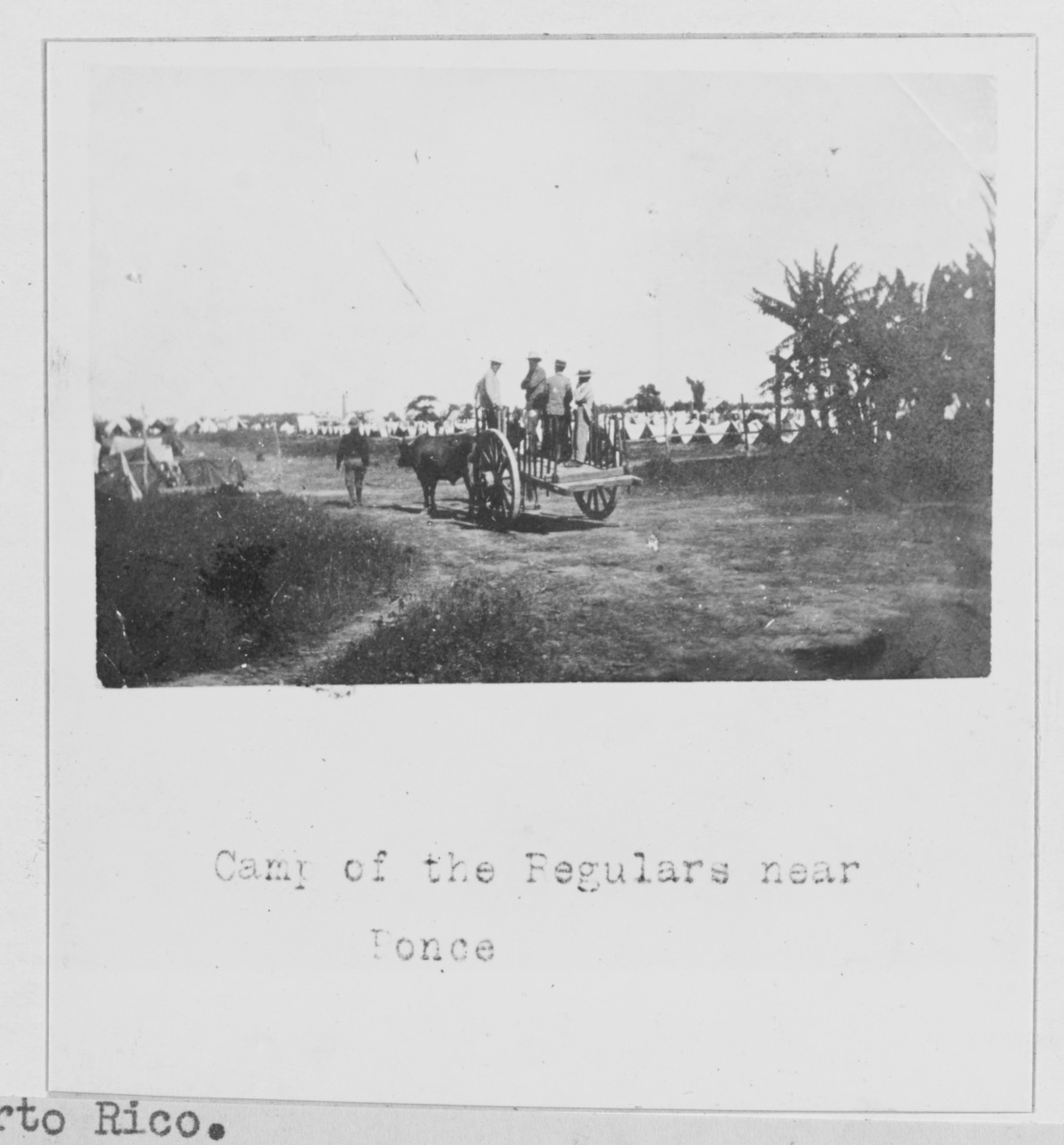 Camp of the regulars near Ponce, P.R